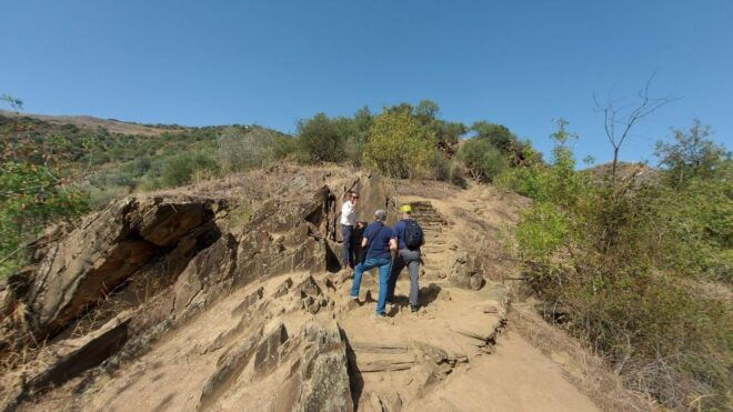 Foz Côa & Douro Private Tour: Rock Carvings and Superb Views - Inclusions