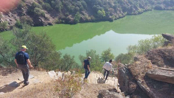 Foz Côa & Douro Private Tour: Rock Carvings and Superb Views - Important Information