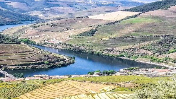 Foz Côa & Douro Private Tour: Rock Carvings and Superb Views - The Sum Up