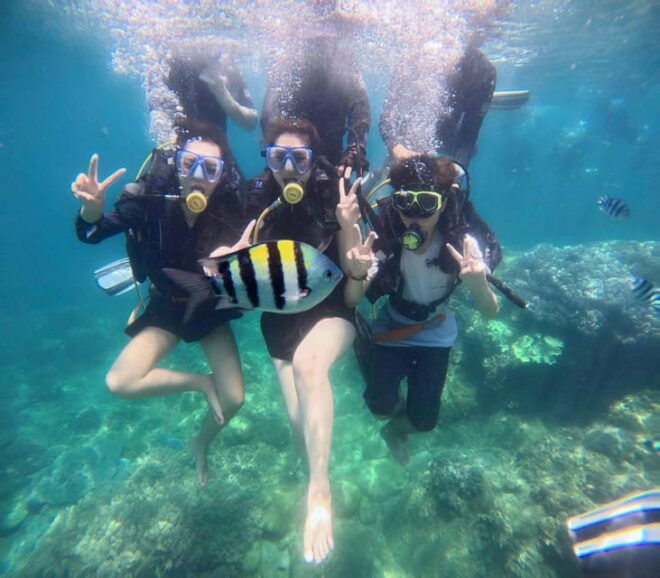 FR DA NANG: CHAM ISLAND SIGHTSEEING AND SNORKELING TOUR - Additional Activities