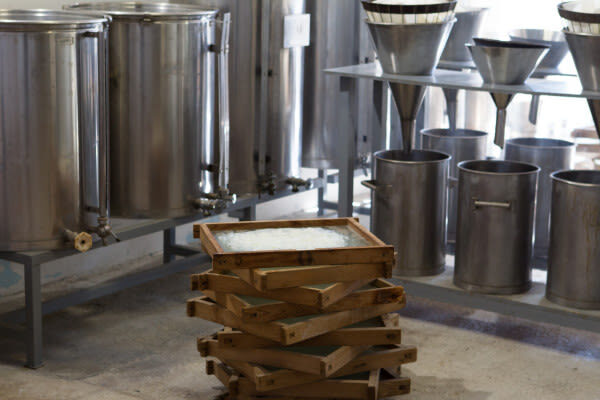 Fragonard Perfume Factory Tour and Mini Workshop in Eze - The 20-minute lemon blossom workshop