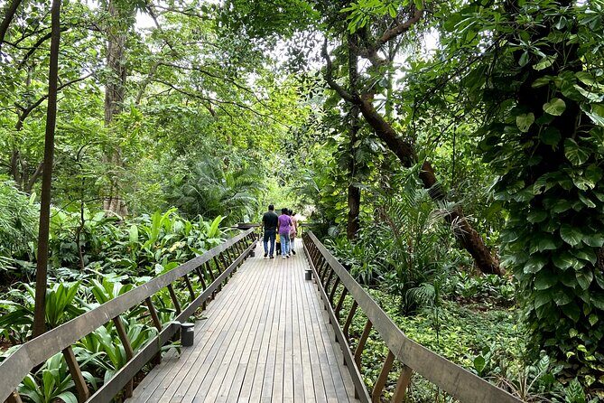 Fragrance Walk and Botany of Ancient Texts Tour - Good To Know  