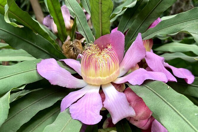 Fragrance Walk and Botany of Ancient Texts Tour - Frequently Asked Questions