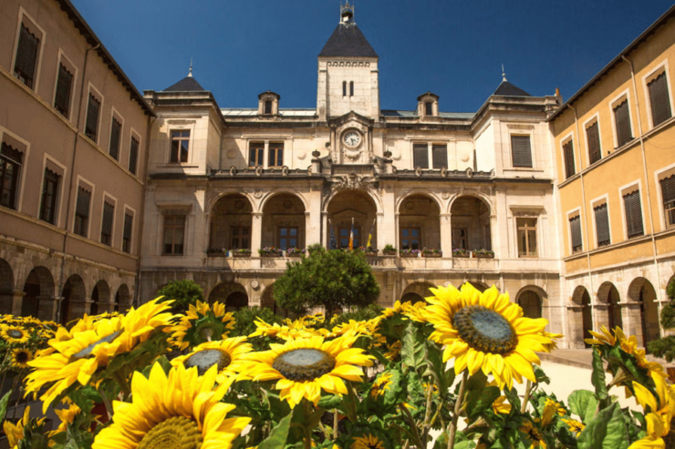 France: Excursion From Lyon to Vienne by Train - Key Points