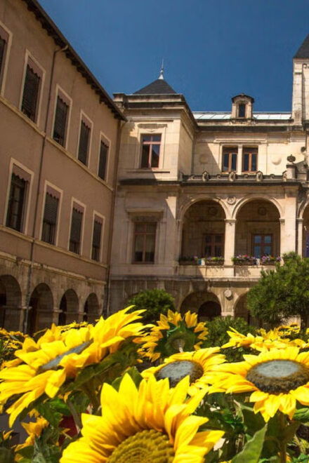 France: Excursion From Lyon to Vienne by Train - Booking Your Trip