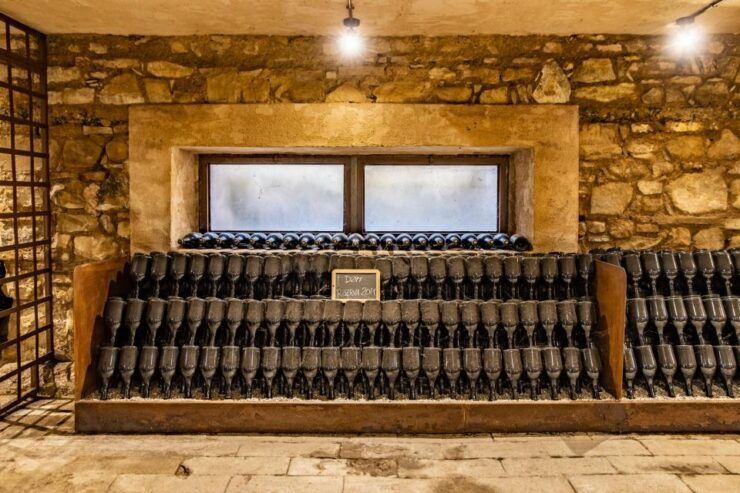 Franciacorta: Wine Tasting and Vineyard Tour With Snacks - Good To Know