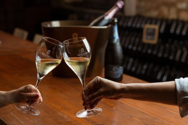 Franciacorta: Wine Tasting and Vineyard Tour With Snacks - Restrictions