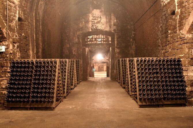 Franciacorta Wine Tasting Tour from Milan with Lake Iseo Cruise - Authentic Insights from Travelers