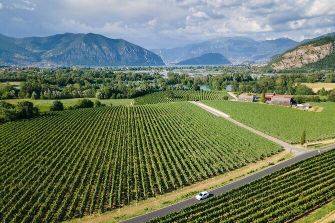 Franciacorta Wine Tasting Tour from Milan with Lake Iseo Cruise - Final Verdict