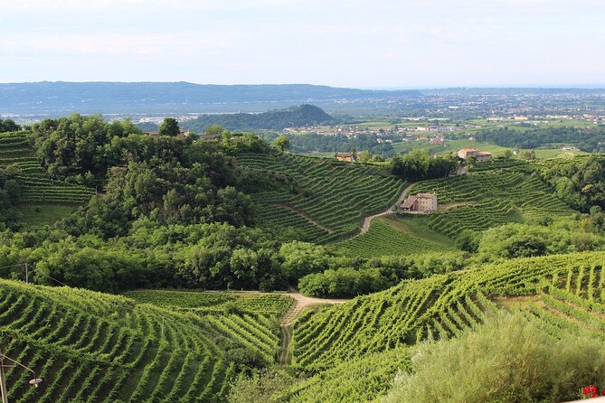 Franciacorta Wines & Bergamo From Milan - Private Tour - Frequently Asked Questions