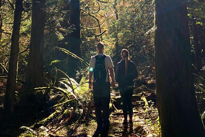 Francis King Regional Park Forest Bathing  - Vancouver Island - Pricing and Booking Details