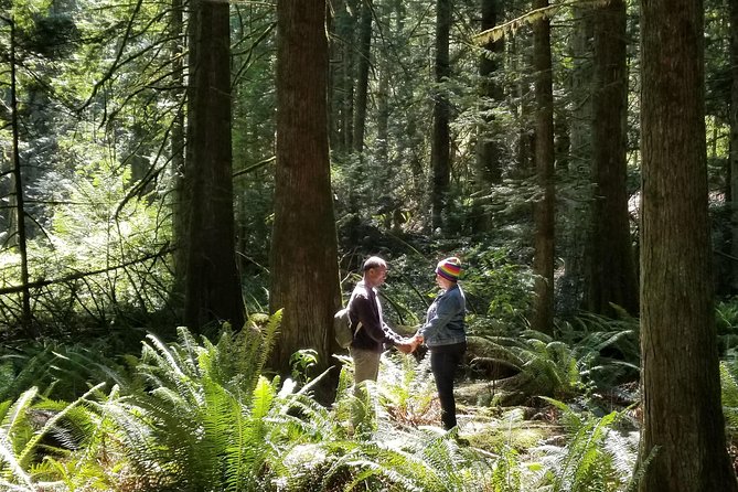 Francis King Regional Park Forest Bathing  - Vancouver Island - Pickup and Start Details