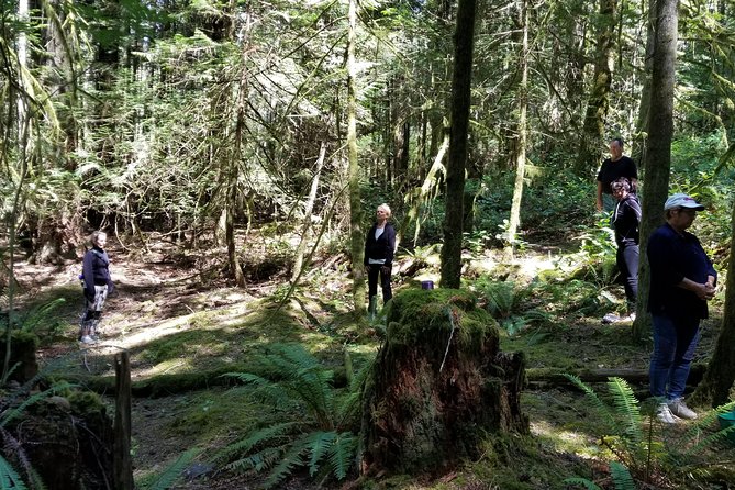 Francis King Regional Park Forest Bathing  - Vancouver Island - Reviews and Support