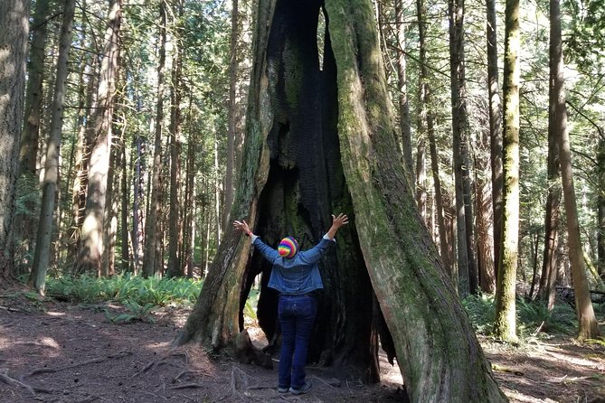 Francis King Regional Park Forest Bathing  - Vancouver Island - Common Questions