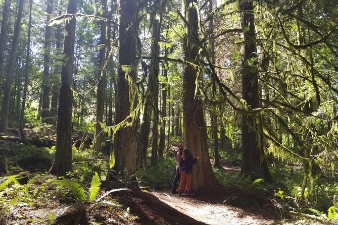 Francis King Regional Park Forest Bathing  - Vancouver Island - The Sum Up