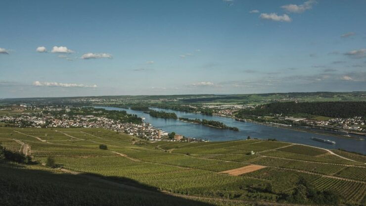 Frankfurt: Day Tour of Heidelberg,Rüdesheim,Rhine Valley - Key Points