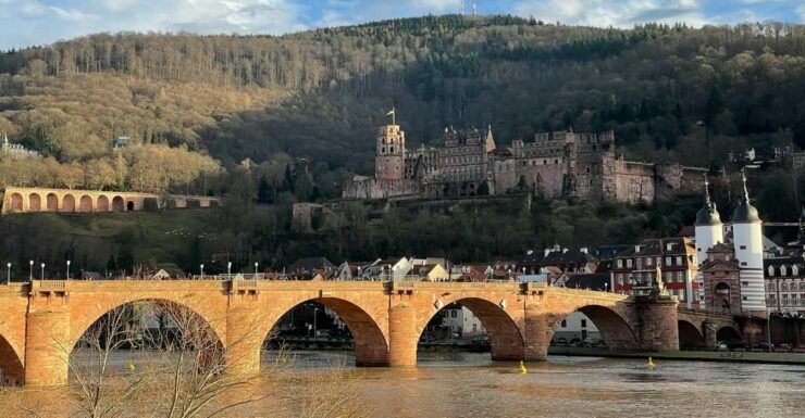 Frankfurt: Day Tour of Heidelberg,Rüdesheim,Rhine Valley - Itinerary Details