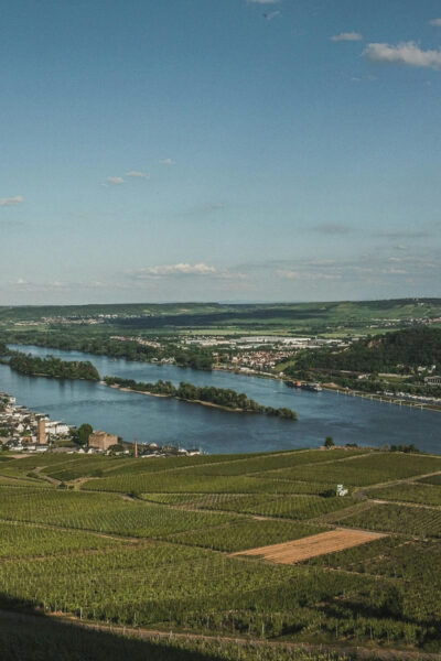Frankfurt: Day Tour of Heidelberg,Rüdesheim,Rhine Valley - Booking and Cancellation Policy