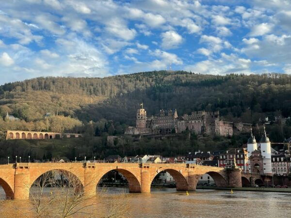 Frankfurt: Day Tour of Heidelberg,Rüdesheim,Rhine Valley - Frequently Asked Questions