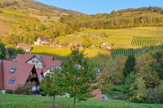 Frankfurt: Full-Day Baden-Baden and Strasbourg Trip - Common Questions