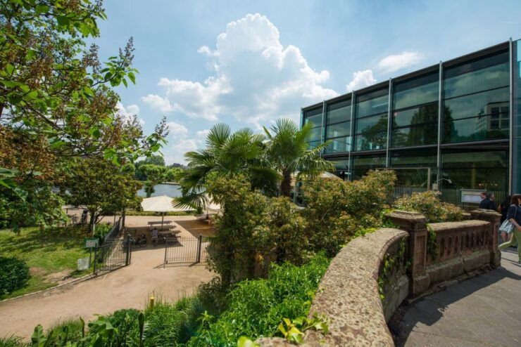Frankfurt: Guided Walk Between Palm Trees and Skyline - Experience Highlights