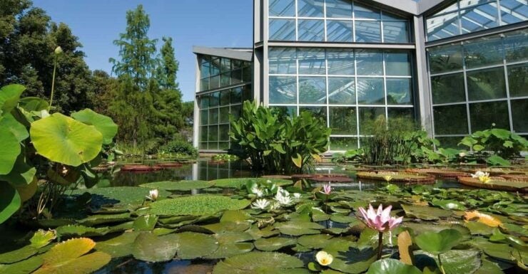 Frankfurt Hidden Gems: Private Tour - Tour Duration and Pricing