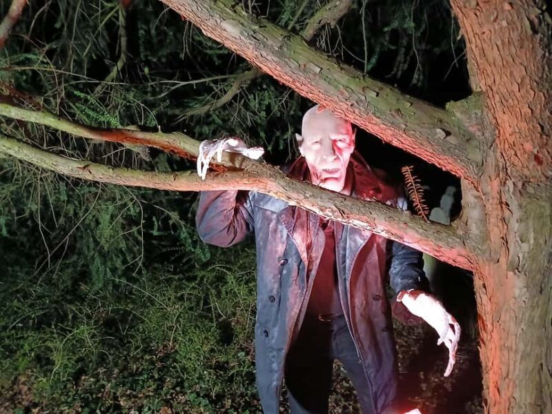 Frankfurt: Horror theater with city tour "Nosferatu's Resurrection" - Good To Know