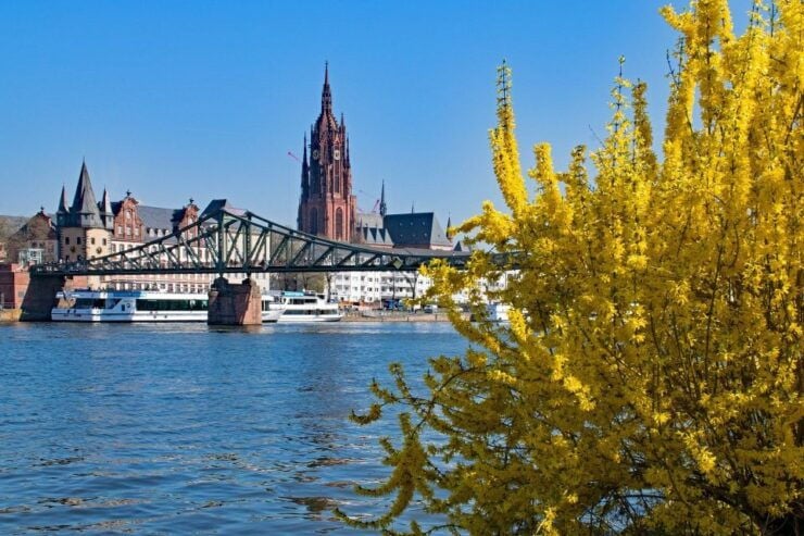 Frankfurt: Private City Center Sightseeing Walking Tour - Experience Highlights
