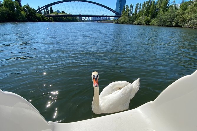 Frankfurt Private River Cruise - Overview and Experience