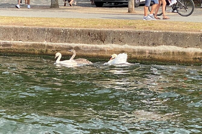 Frankfurt Private River Cruise - Common Questions