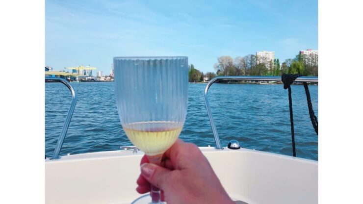 Frankfurt: Private Sport Boat Tour - Speed, Fun & Skyline - Experience Highlights