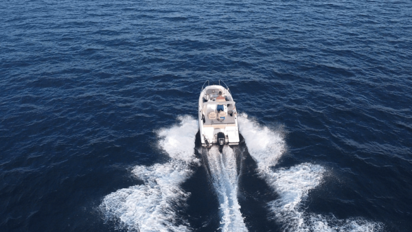 Frankfurt: Private Sport Boat Tour - Speed, Fun & Skyline - Safety Measures