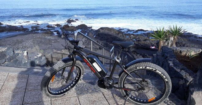 Frankfurt: Unique E-Bikes Tours - Full Description