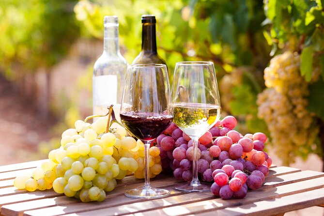 Frankfurt Wine Tasting Tour With a Wine Expert - Directions and Important Details