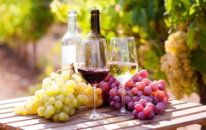 Frankfurt Wine Tasting Tour With a Wine Expert - Important Information for the Tour