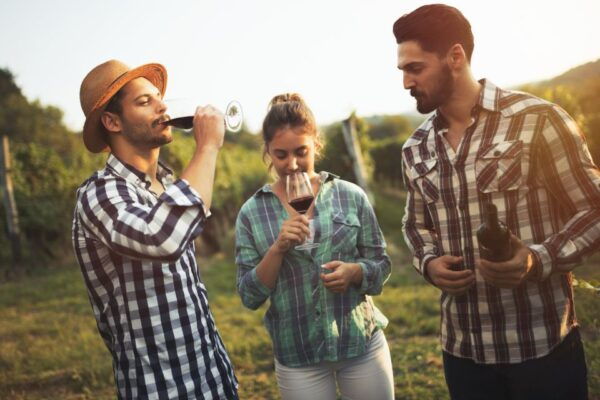 Frankfurt Wine Tasting Tour With a Wine Expert - How to Book Your Frankfurt Wine Tasting Tour