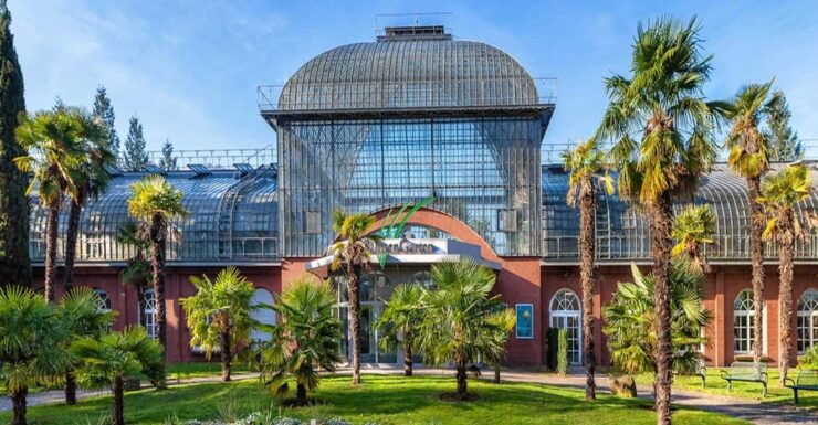 Frankfurts Art, Nature and Food: Private Tour - Key Points