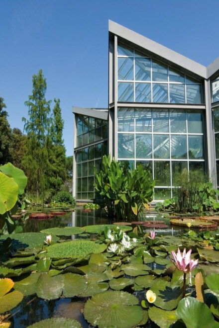 Frankfurts Art, Nature and Food: Private Tour - Restrictions and Suitability