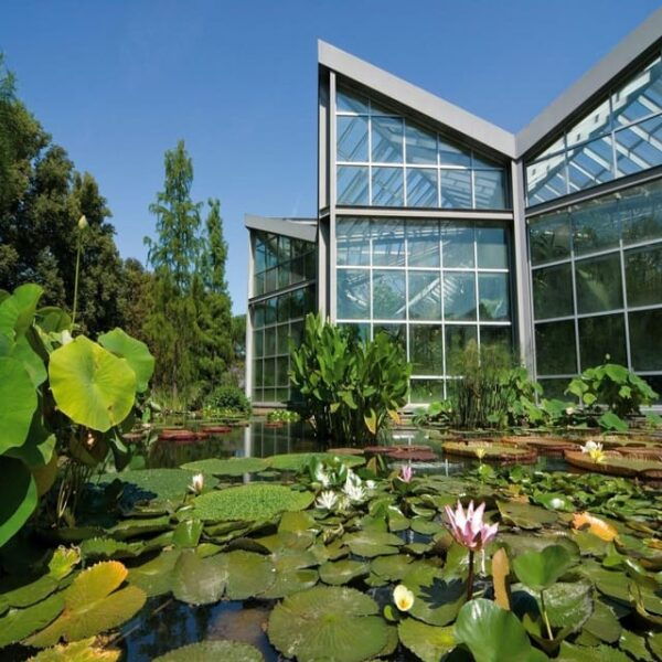 Frankfurts Art, Nature and Food: Private Tour - What to Bring