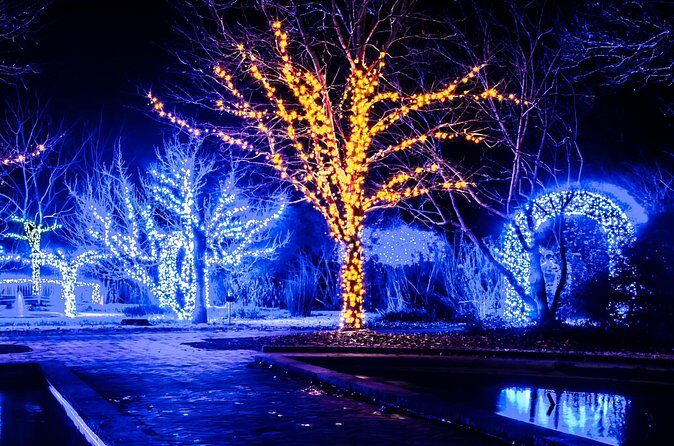 Franklins Festive Lights Spectacular A Christmas Wonderland Tour - Final Thoughts on the Tour