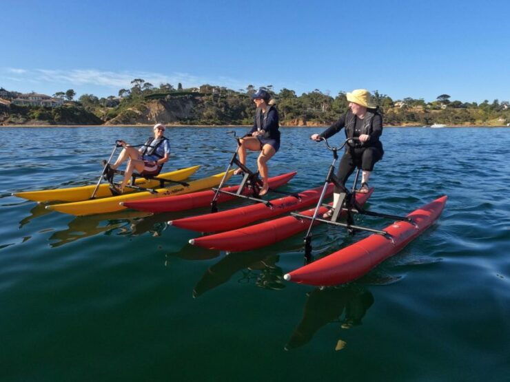 Frankston: Port Phillip Bay Water Bike Tour - Tour Details