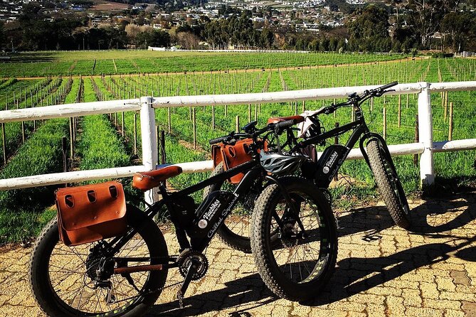Franschhoek E-Bike Wine Tours - Pass by Various Points of Interest