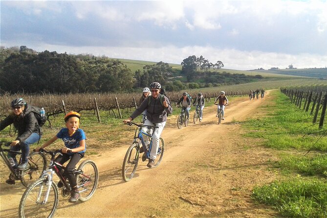 Franschhoek Family Cycle Tour - Tour Overview