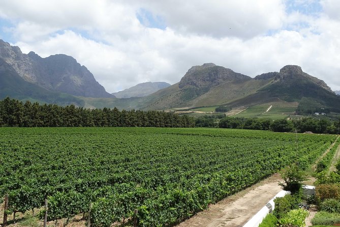 Franschhoek Half Day Winelands Cycle Tour - Tour Overview and Details