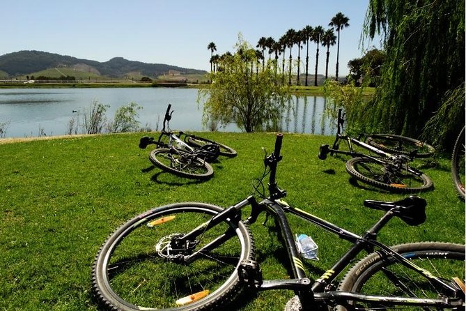 Franschhoek Half Day Winelands Cycle Tour - Off-road Cycling in Franschhoek Valley