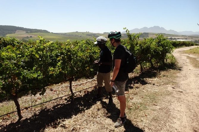 Franschhoek Half Day Winelands Cycle Tour - Wine Tasting at Two Wineries