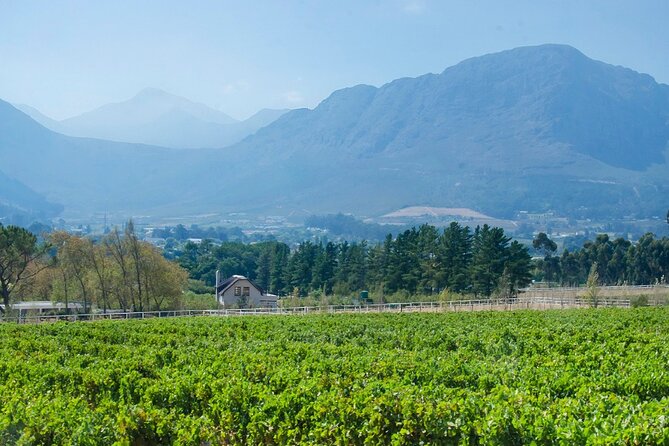 Franschhoek Half Day Winelands Cycle Tour - Cancellation Policy and Refund Details