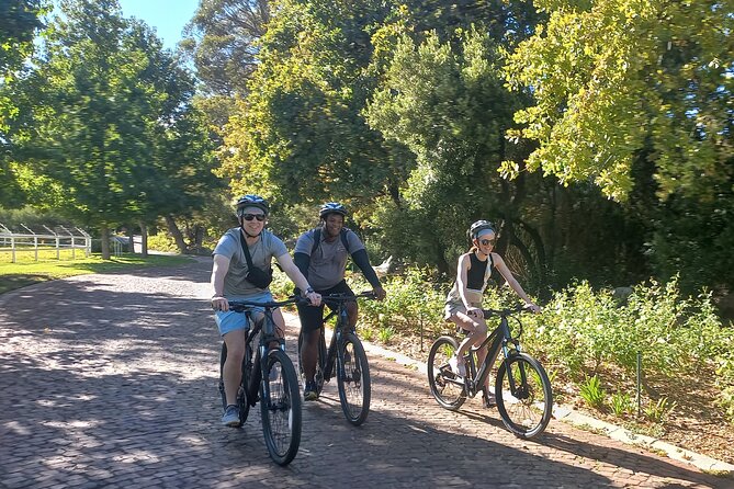 Franschhoek Shared E-Bike and Wine Tour - Tour Highlights