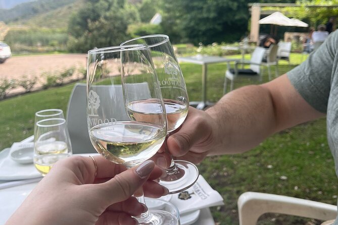 Franschhoek Shared E-Bike and Wine Tour - E-Bike Rental Information