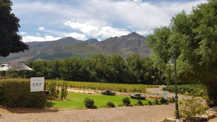 Franschhoek & Stellenbosch: Full-Day Wine Tour - Good To Know